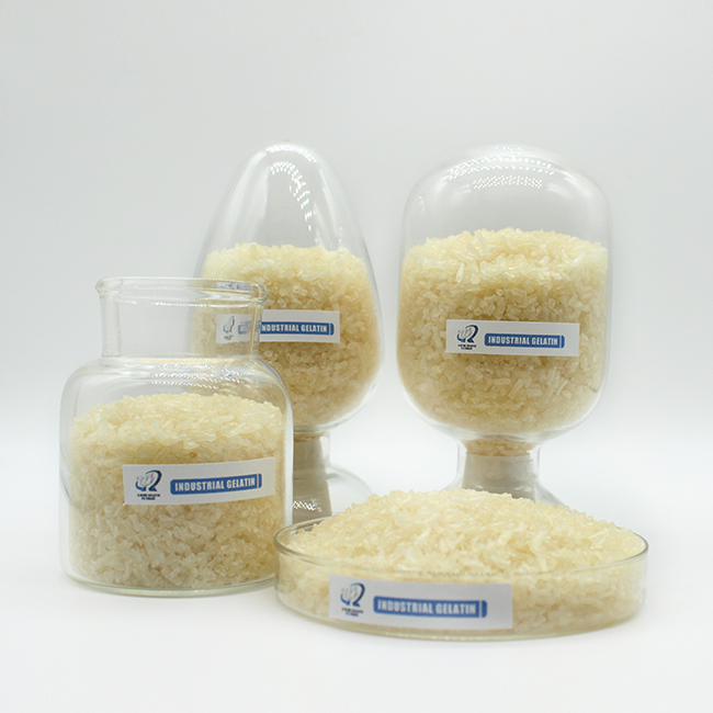 Big Discount Halal Animal Gelatin with Factory Price