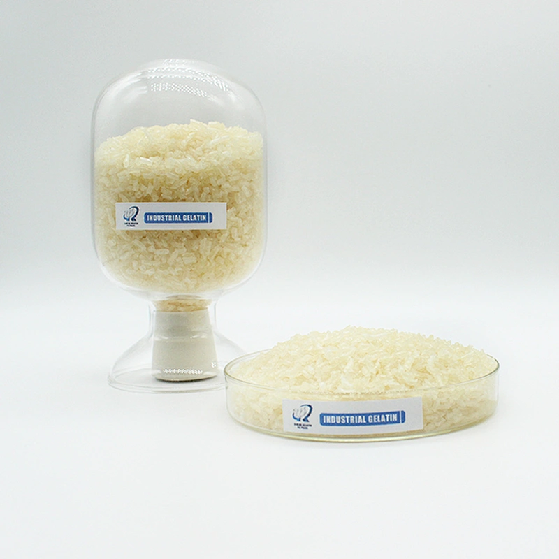 Gelatin for Food/Hot Seller Food Gelatin/Bovine Gelatin Plant
