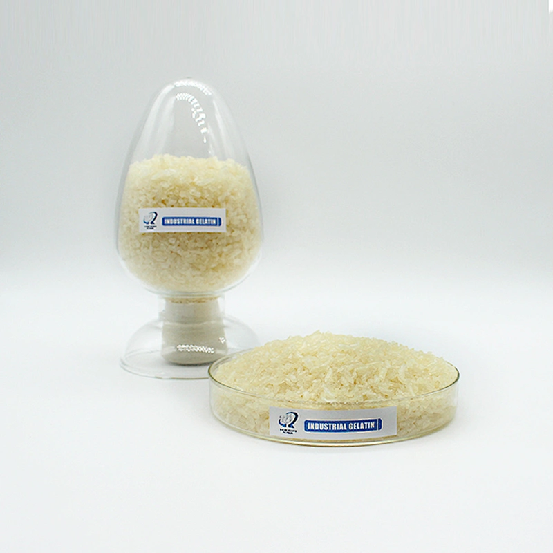 Gelatin for Food/Hot Seller Food Gelatin/Bovine Gelatin Plant